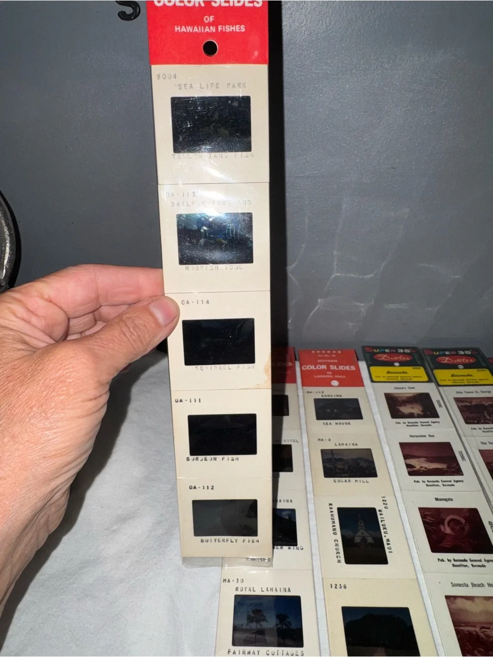 Vintage 35mm Color Slides Lot NOS Bermuda Hawaii set of 7 souvenir Dexter